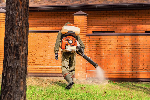 Top rated local Cockroach Control specialists in Chilhowie, VA